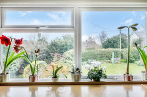 Photo 19- click for photo gallery